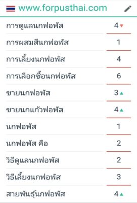 รับทำเว็บไซต์ ติดอันดับ google หน้าแรก