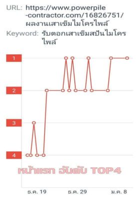 รับทำ seo สายขาว